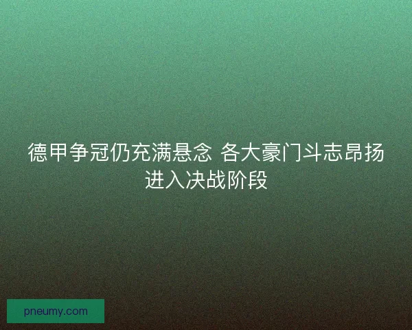 德甲争冠仍充满悬念 各大豪门斗志昂扬进入决战阶段 德甲争冠仍充满悬念 各大豪门斗志昂扬进入决战阶段